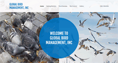 Desktop Screenshot of birdmanagement.com